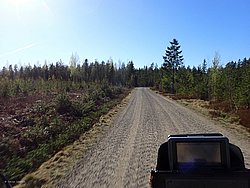 P5010408.JPG