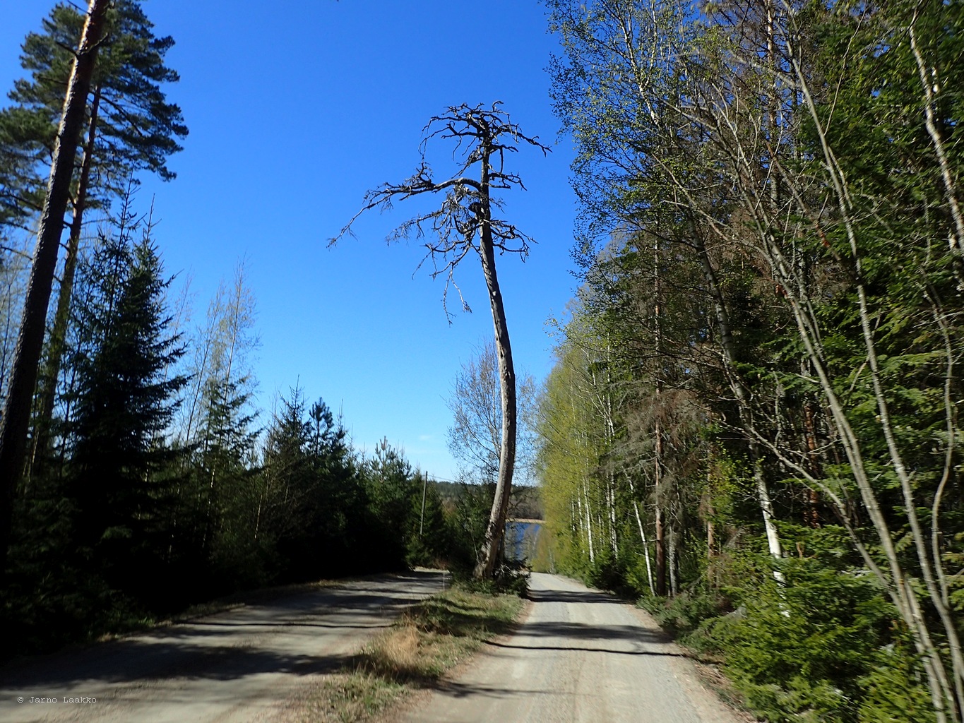 P5020468.JPG