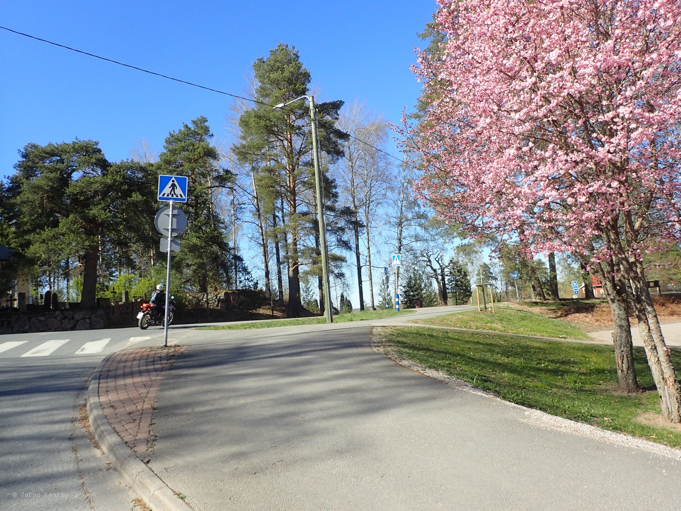 P5020491.JPG