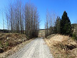 P5020413.JPG