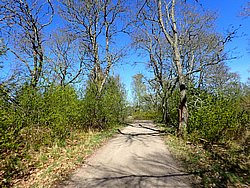 P5020457.JPG