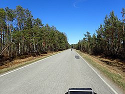 P5020480.JPG