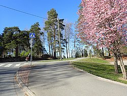 P5020491.JPG