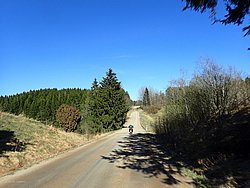 P5020494.JPG