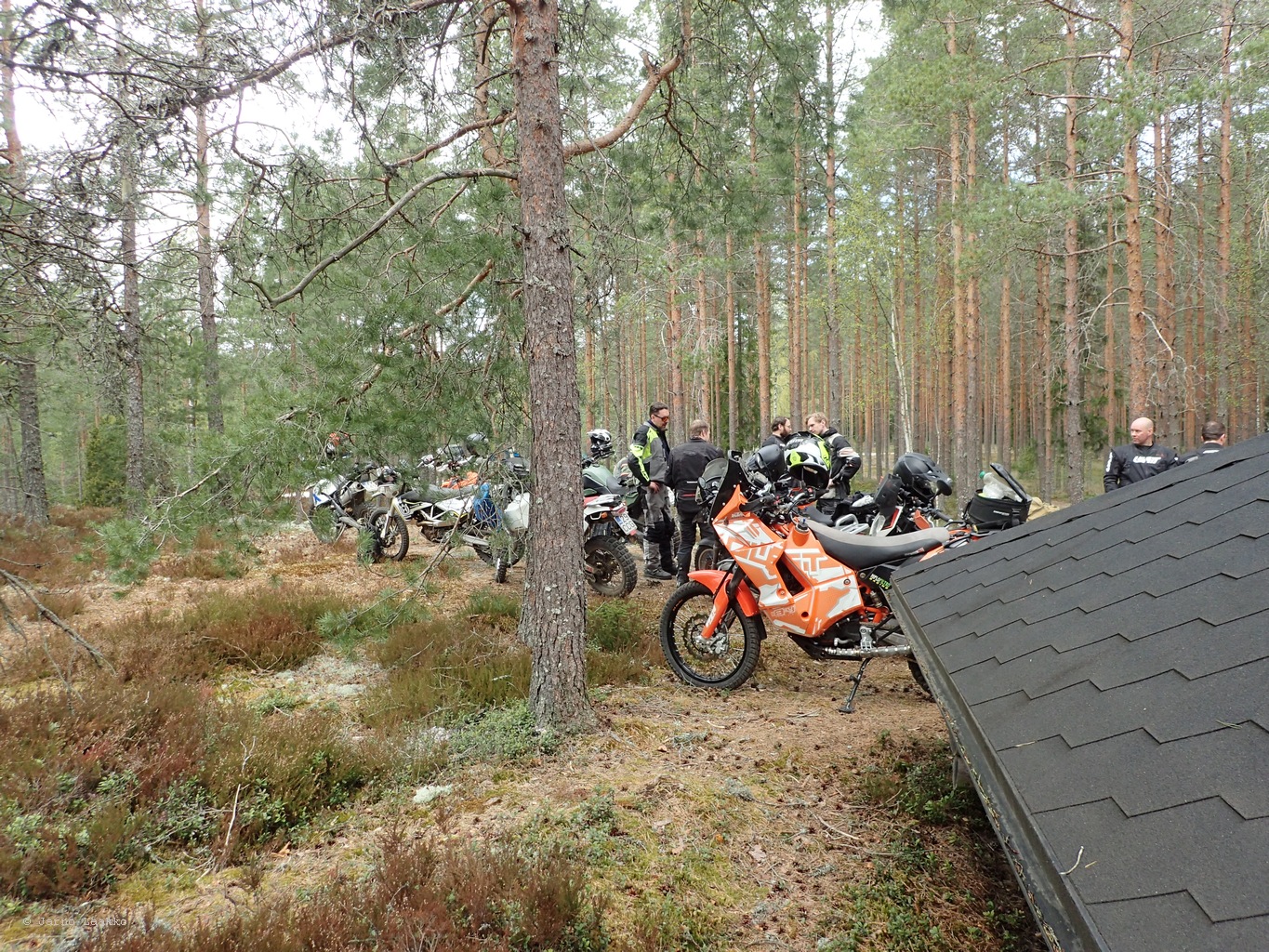 P5030524.JPG