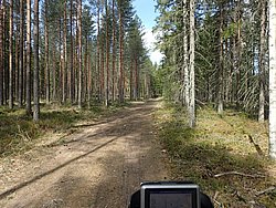 P5030519.JPG
