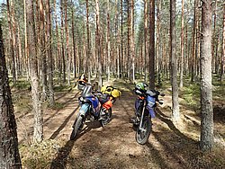 P5030521.JPG
