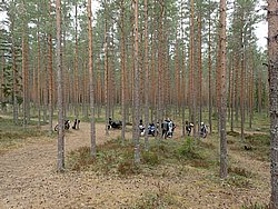 P5030522.JPG