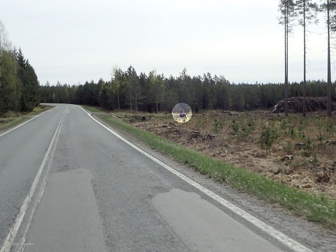 P5090546.JPG