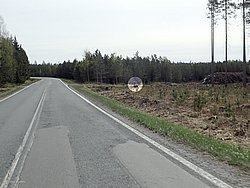 P5090546.JPG