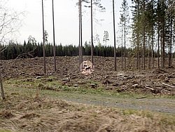 P5090551.JPG