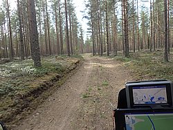 P5090585.JPG