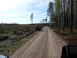 P5090589.JPG