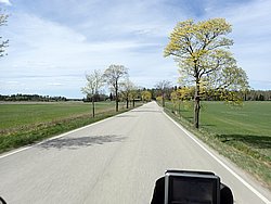 P5100601.JPG