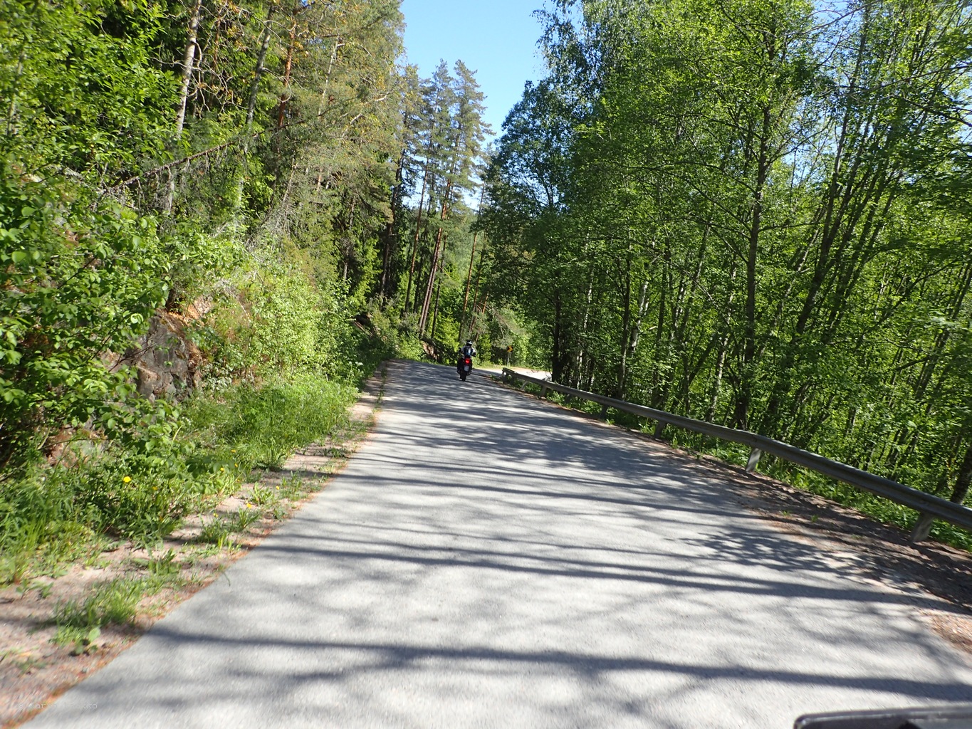 P5300622.JPG