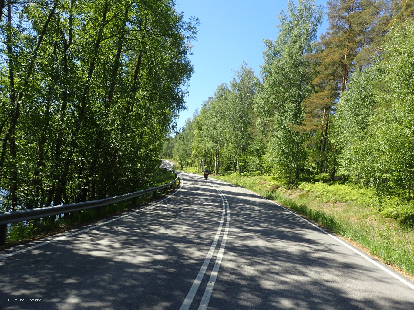 P5300636.JPG