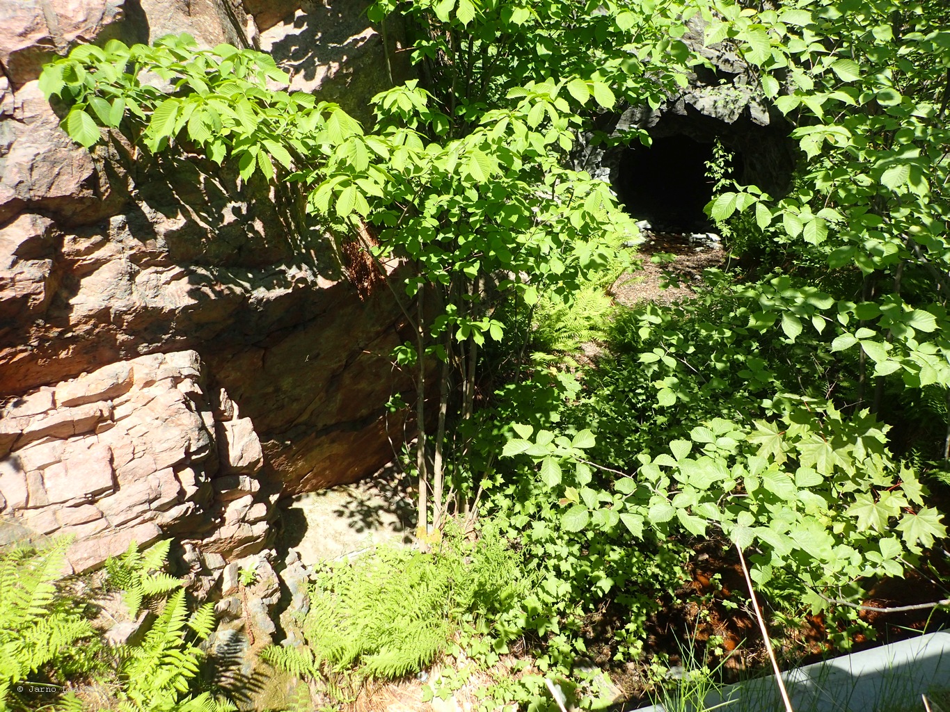 P5300642.JPG