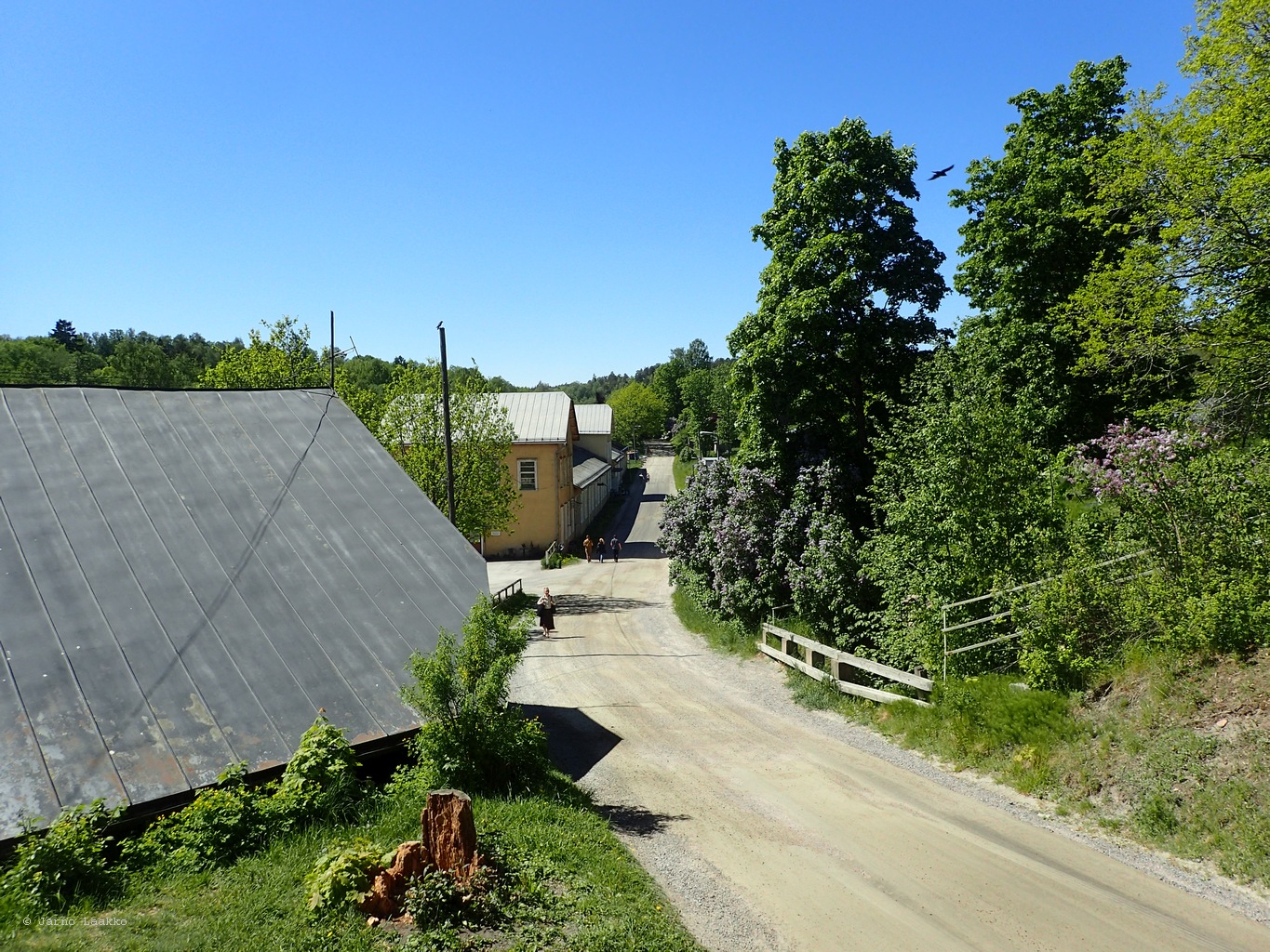 P5300663.JPG
