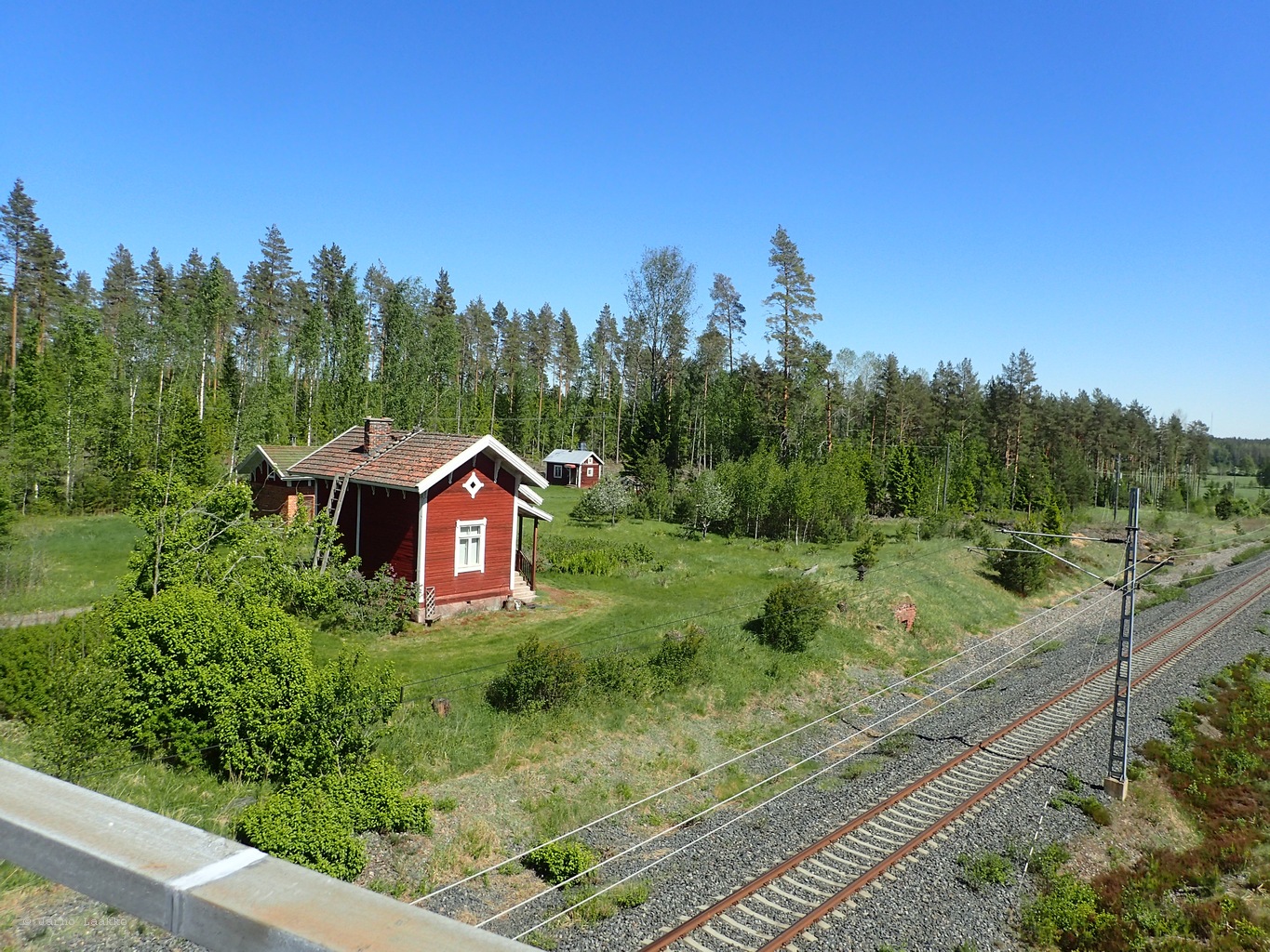 P5300691.JPG