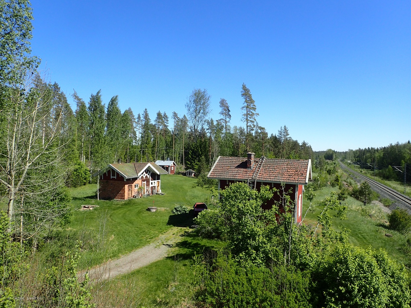 P5300693.JPG