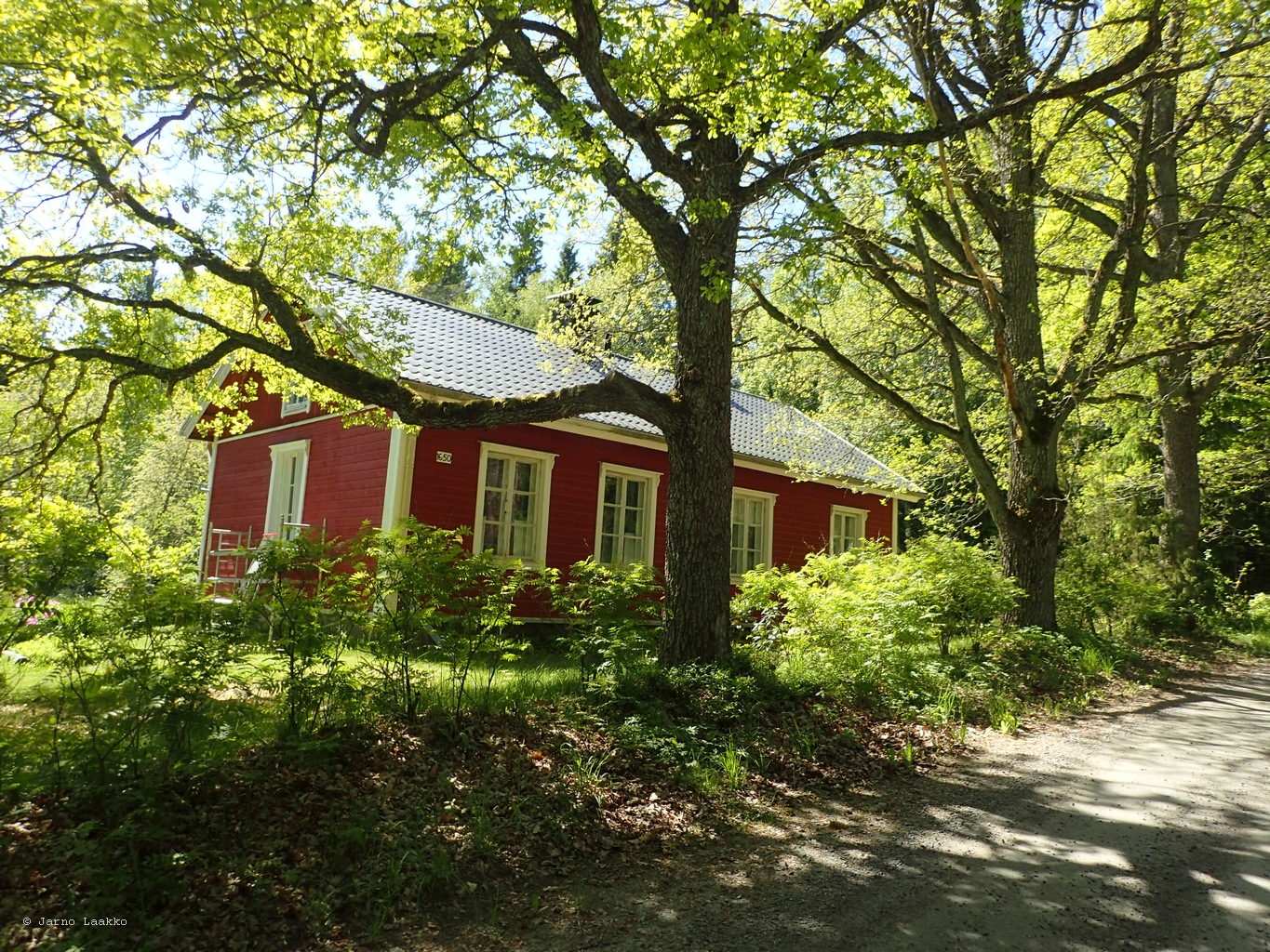 P5300695.JPG