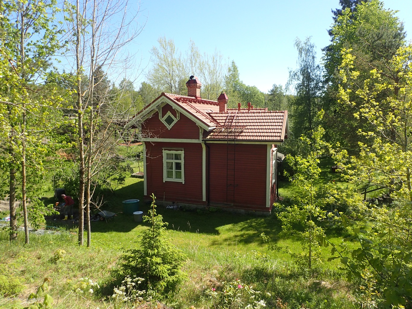 P5300699.JPG