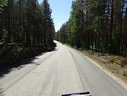 P5300607.JPG