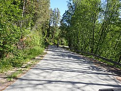 P5300622.JPG