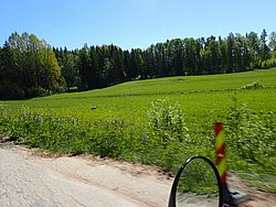 P5300628.JPG