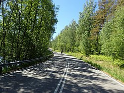 P5300636.JPG