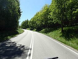 P5300638.JPG