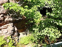 P5300642.JPG