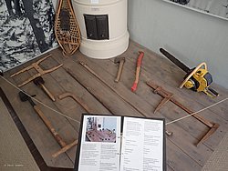 P5300646.JPG
