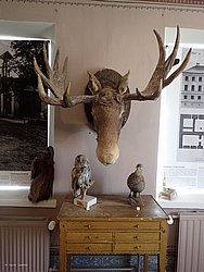 P5300655.JPG