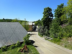 P5300663.JPG
