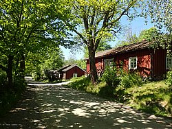 P5300667.JPG