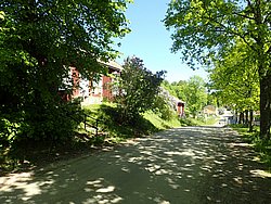 P5300668.JPG