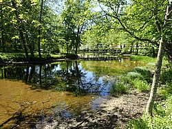 P5300669.JPG