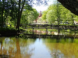 P5300670.JPG
