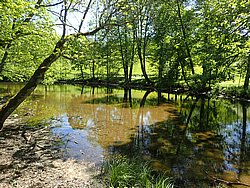 P5300672.JPG
