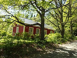 P5300695.JPG