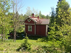 P5300699.JPG
