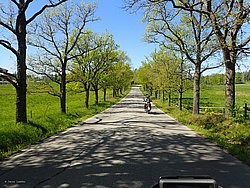 P5300705.JPG