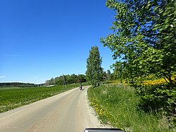 P5300710.JPG