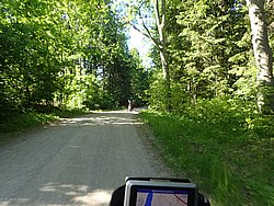 P5300715.JPG