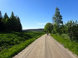 P5300720.JPG