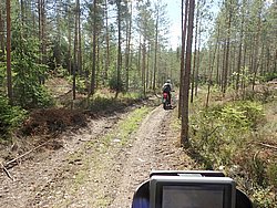 P6190751.JPG