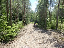 P6190753.JPG