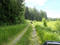 P6190780.JPG