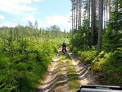 P6190790.JPG